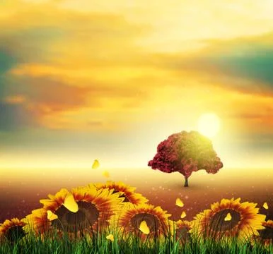 Summer, Field, Tree, Sky, Sun, Sunset, Grass, Sunflowers, Butterflies Stock Illustration