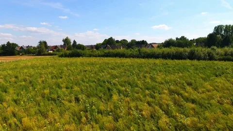 Summer fields Stock-Footage 89966454