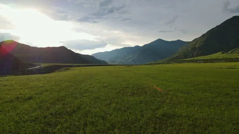 Summer fields with grass against the backdrop of mountains. Stock Footage 245619597