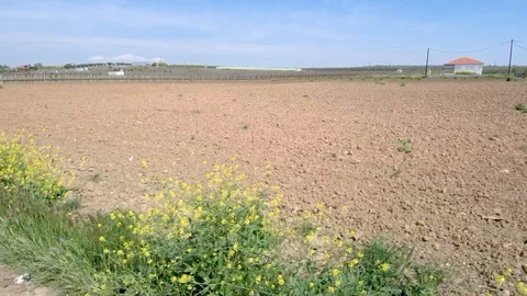 Summer fields in Halkidiki Greece Stock Footage 113391953