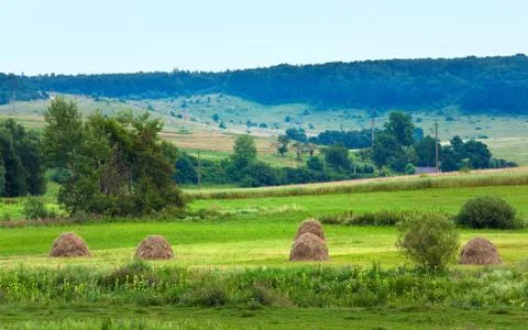 Summer fields with haystacks Stock Photos