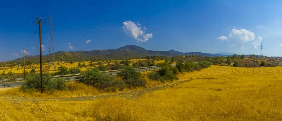 Summer fields panoramic landscape Stock Photos