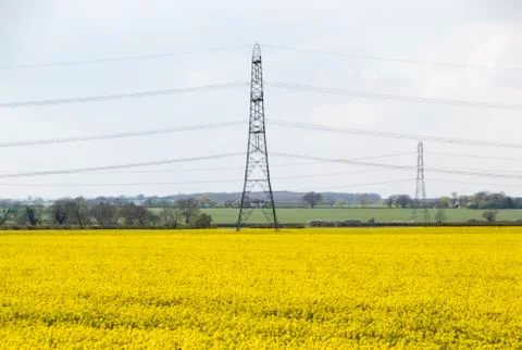 Summer Fields Stock Photos