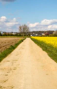 Summer Fields Stock Photos