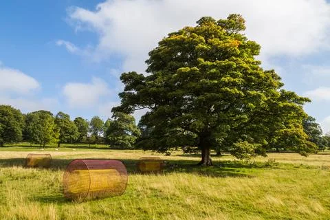 Summer Fields Stock Photos
