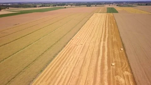 Summer fields in Poland - drone footage. Stock Footage 248461954