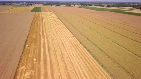 Summer fields in Poland - drone footage. Stock Footage 251318863