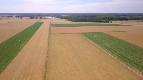 Summer fields in Poland, rural landscape. Stock Footage 247129308