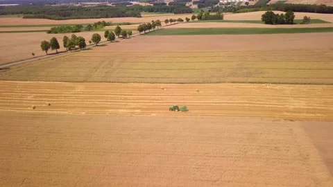 Summer fields in Poland, rural landscape. Stock Footage 249070035