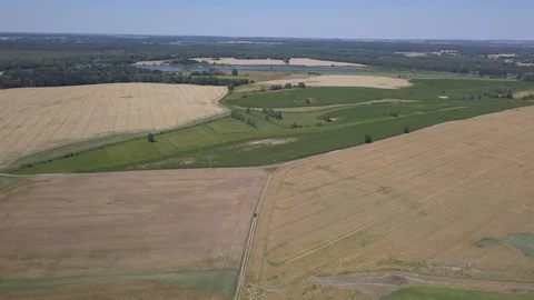 Summer fields at sunny day. 4k aerial. Stock Footage 91836086