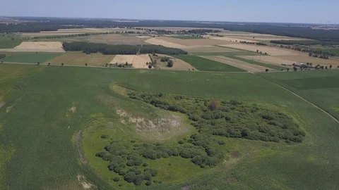 Summer fields at sunny day. 4k aerial. Stock Footage 91836137