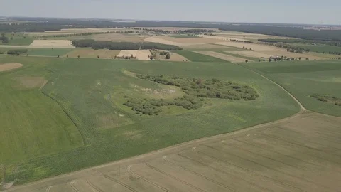 Summer fields at sunny day. 4k aerial. Stockbeeldmateriaal 91836412
