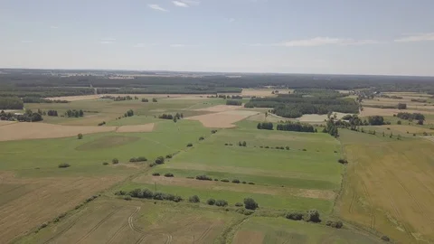 Summer fields at sunny day. 4k aerial. 動画素材 91840396