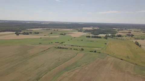 Summer fields at sunny day. 4k aerial. 動画素材 91840717