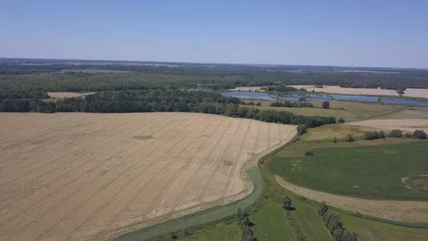 Summer fields at sunny day. 4k aerial. 動画素材 91851248