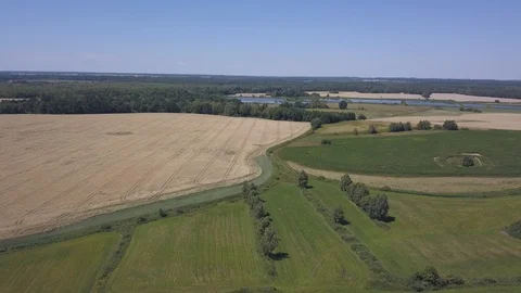 Summer fields at sunny day. 4k aerial. Stockbeeldmateriaal 91853849