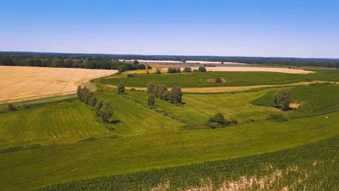 Summer fields at sunny day. 4k aerial, drone footage.  스톡 동영상 99156890