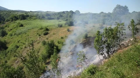 Summer fire in the countryside Stock Footage 47994534