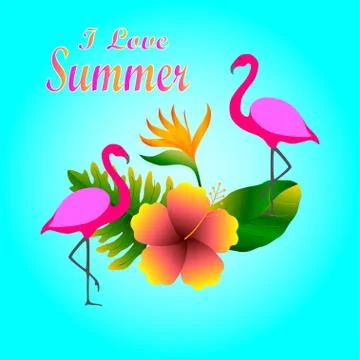 Summer flamingo Illustrazione stock