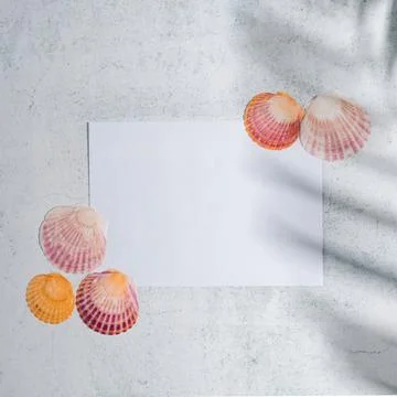 Summer  flat lay created with copy space paper and colorful shells in the pal Stock Photos