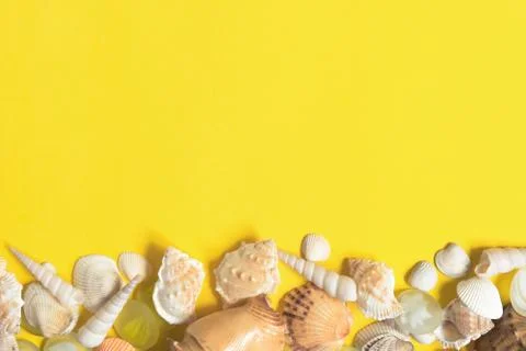 Summer flat lay. Frame of shells of various kinds on a yellow background 스톡 사진