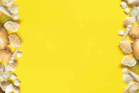 Summer flat lay. Frame of shells of various kinds on a yellow background Stock Photos
