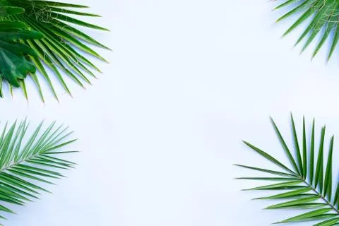 Summer flat lay scenery Stock Photos