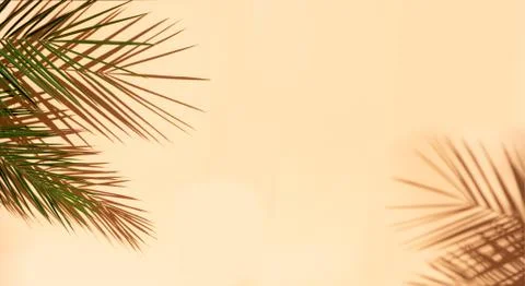 Summer flat lay scenery Stock Photos