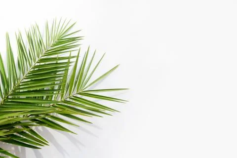 Summer flat lay scenery Stock Photos