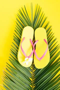 Summer flat lay scenery Stock Photos