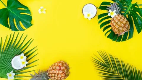 Summer flat lay scenery Stock Photos