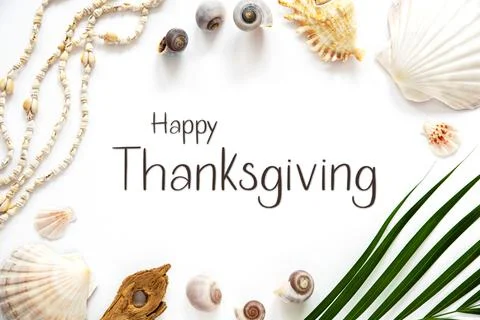 Summer Flat Lay White, Shells and Plants, Summer Background, Text Happy Stock Photos