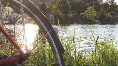 Summer Flies With Bicycle Next To River Vídeo Stock 38108401