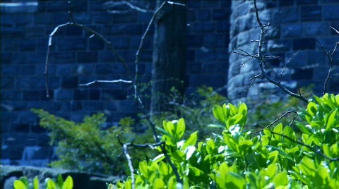 Summer Flies Stock Footage 861169