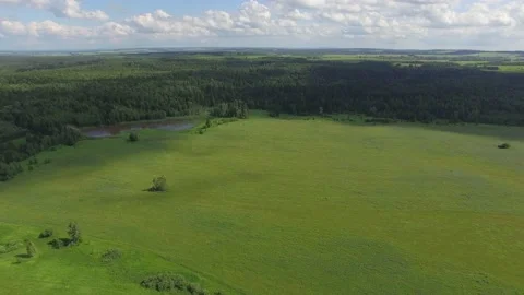 Summer flight over the field Stock Footage 138132700