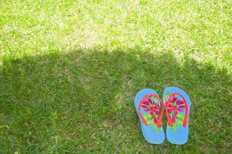 Summer flip flops on the grass Stock Photos