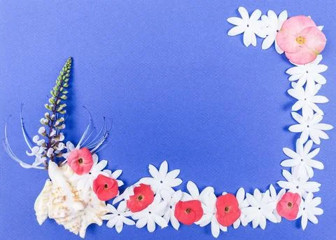 Summer Floral Corner Frame with Seashell on Blue Background. Stock Photos