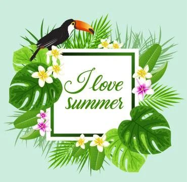 Summer floral frame. Stock Illustration