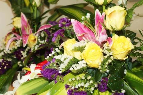 Summer flower background. Stock Photos