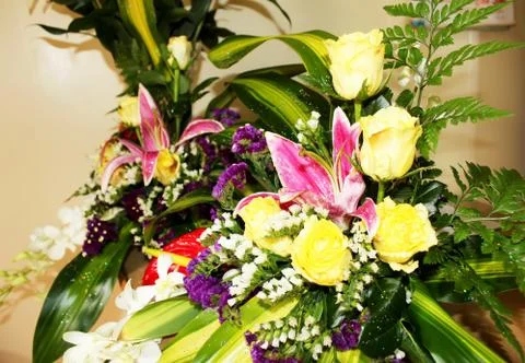 Summer flower background Stock Photos