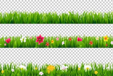 Summer Flower Border Illustrazione stock