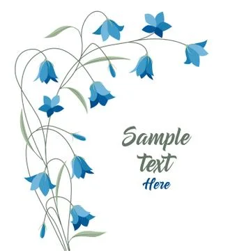 Summer flower campanula Stock Illustration