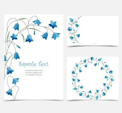 Summer flower campanula Stock Illustration