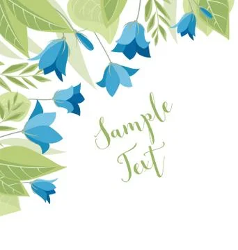 Summer flower campanula Stock Illustration