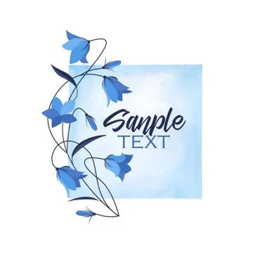 Summer flower campanula Illustrazione stock