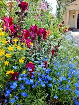 Summer flowerbed Stock Photos