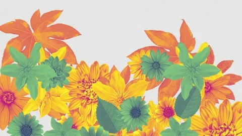 Summer Flowers Alpha Wipe 03 Video stock 293607429