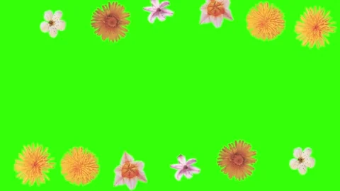 Summer flowers animation elements, chroma key Stock Footage 273788128