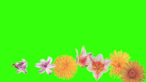 Summer flowers animation elements, chroma key Stock Footage 273788130