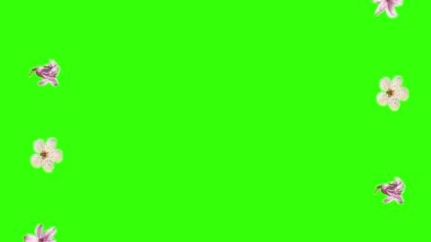 Summer flowers animation elements, chroma key Stockbeeldmateriaal 273788131